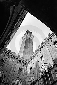 The courtyard of the Palazzo Pubblico in the center of Siena