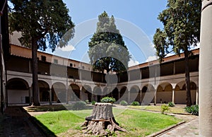 Courtyard Santa Maria del Carmine church, Florence, Firenze, Toscany, Italy