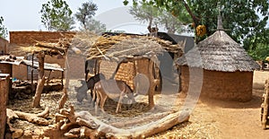 Courtyard of a traditional house in a mosi village of Burkina Faso, West Africa