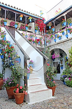 Courtyard of a typical house in Cordoba