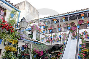 Courtyard of a typical house in Cordoba