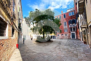 Courtyard in Venice. Container gardening in courtyard in Venice, Italy