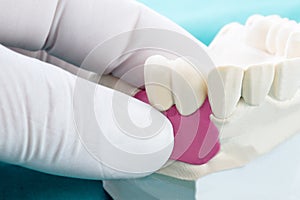 Couse up dental prosthesis and tools.