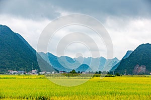 The coutryside in BacSon - Vietnam