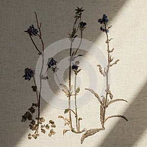 Couture embroidery of flowers.