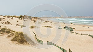 Cova da Alfarroba Beach, old and protected dunes and Peniche in the horizon, Portugal