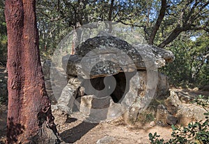 Cova de l'Alarb dolmen in Argeles-sur-mer