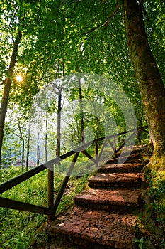 Covadonga forest stairs in Asturias Picos Europa