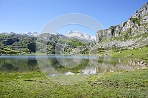 Covadonga lake