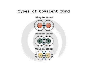 A covalent bond is a chemical bond that involves the sharing of electrons