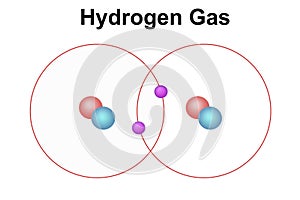 Covalent bond of the hydrogen molecule