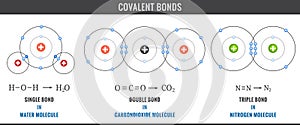 Covalent bonds including single, double, and triple bonds in Water, Carbondioxide Molecule and Nitrogen Molecule