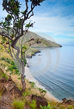 Cove in the Philippines