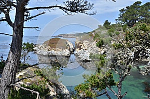 Cove at Point Lobos photo