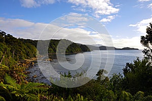 Cove in Stewart Island, NZ photo