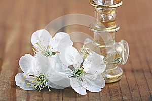 Covenants cherry fragrance perfume