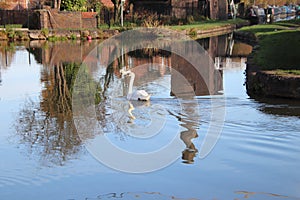 Coventry canal waters oxford canal route reflections of bridge and buildings hawkesbury junction