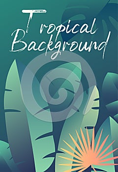 Cover Design with lush green tropical plants