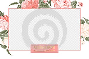 Cover design, transparent product package window, and peony flower border. Regenerate cream label design with pink peony photo