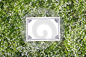 Cover from green and flowering with violet and an empty plate with a black frame of patterns