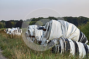 Cover tarpaulin, plastic film, rolled up along the roadside for an asparagus field