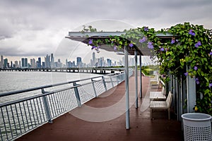 Covered benches on Cinta Costera - Panama City, Panama photo