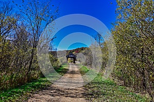 Covered bridge during Fall colors over the Kickapoo River near Lafarge at the Kickapoo Valley reserve