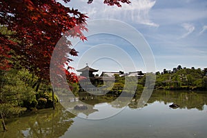 A covered bridge over the pond. Kyoto Japan