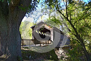 Covered Bridge Thornapple