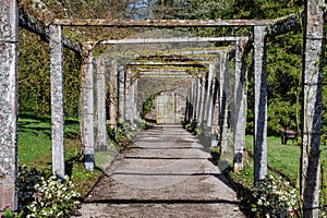 Covered Garden Trellis