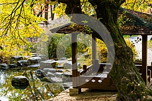 Covered gazebo behind a large old tree located in public park in