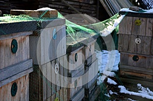 Covered hives on an apiary using a plastic net. protection from birds in winter. they like to bother wintering bees by pecking and