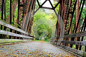 Covered Iron Bridge in Woods