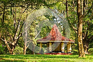 Covered lightweight gazebo in the garden