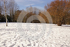 Snow and sun - Landscapes wintry - Elancourt, France