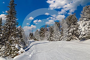 Zimní horská krajina. Štrbské Pleso. Slovensko