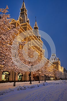 Covered Snow Trees Along GUM Building in Morning Twilight