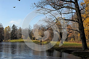 Covered with thin ice lake