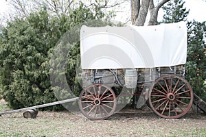 Covered Wagon