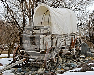 Covered Wagon