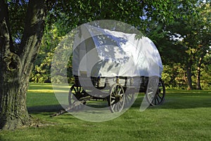 Covered Wagon