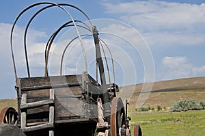 Covered Wagon Facing the Road Ahead