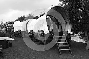 Covered wagons