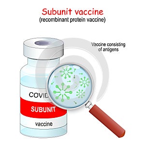 Covid-19 coronavirus. Recombinant protein vaccines. Subunit vaccine