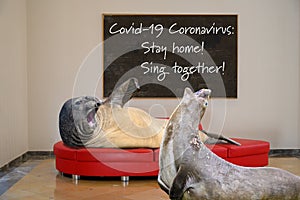 Covid-19 Coronavirus: Stay home! Sing together for good mood