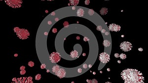 COVID-19 Coronavirus Virus Swirling on Black Background Vertical Video