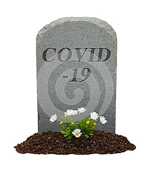 COVID-19 Gravestone