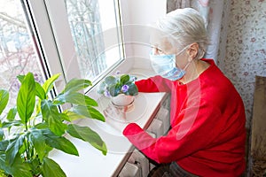 The Covid-19, health, safety and pandemic concept - senior old lonely woman sitting near the window