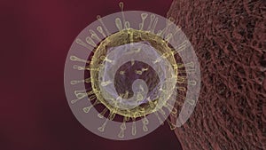 COVID-19 Virus attacking a cell animation