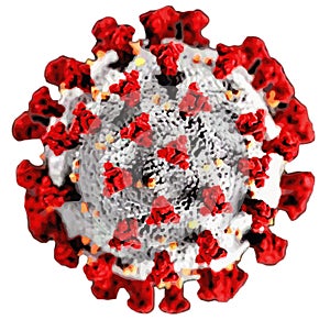 COVID 19 virus cell white background Coronavirus outbreak in 2019